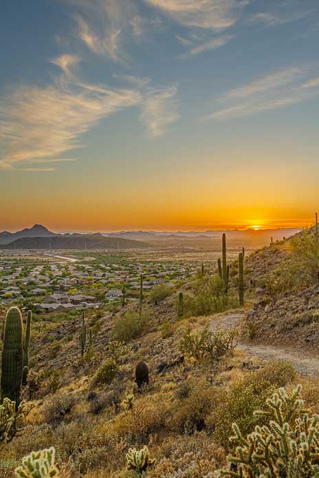 a view of the desert