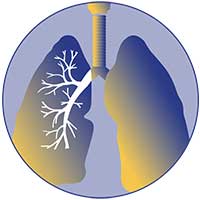 Airways Disorders Network icon