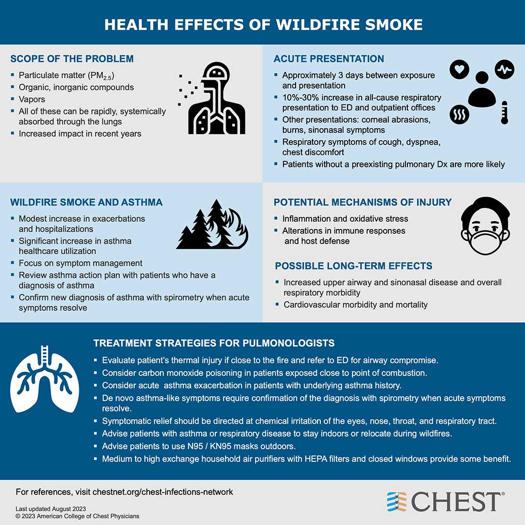 Heat stroke infographic