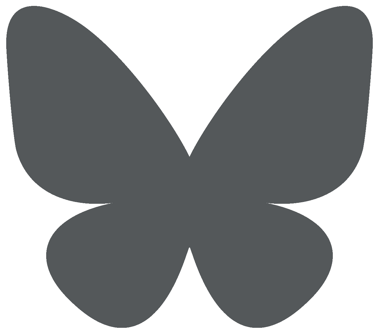 Bluesky icon