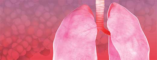 A graphic illustration of lungs