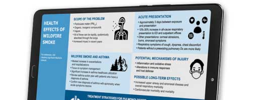 Infographic on wildfire smoke