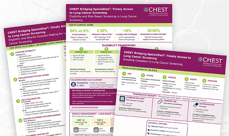 Lung Cancer Screening toolkit on a pdf